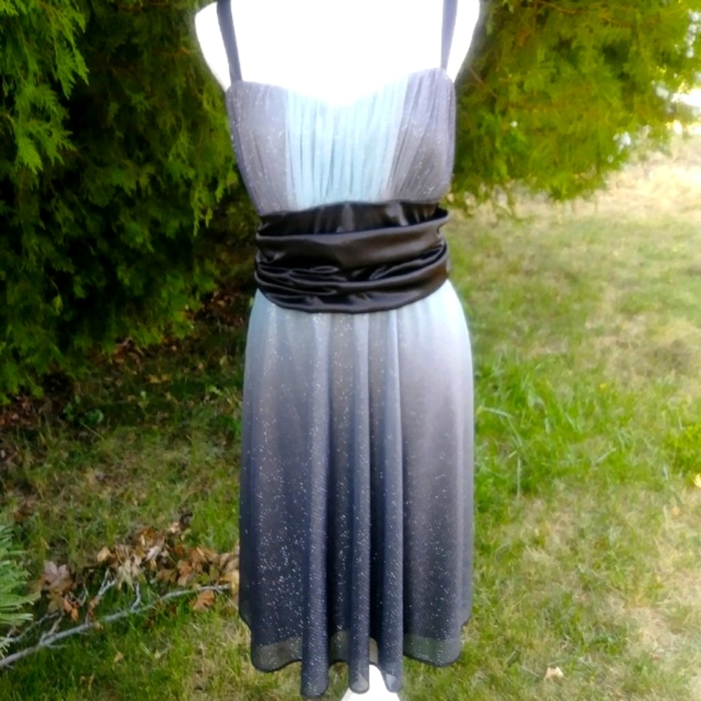R&M Richards Glitter Knit Party Dress NWT